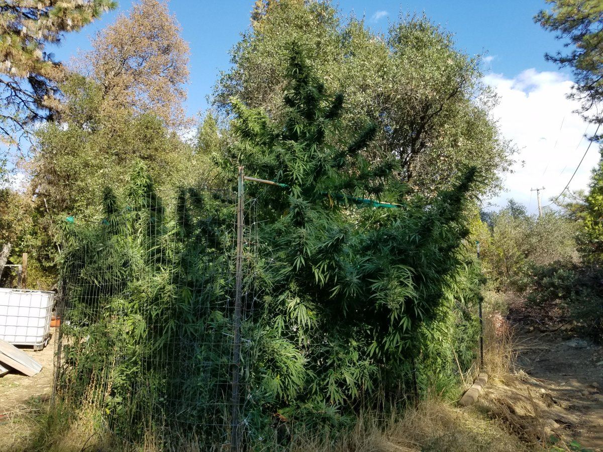 20181011 153044