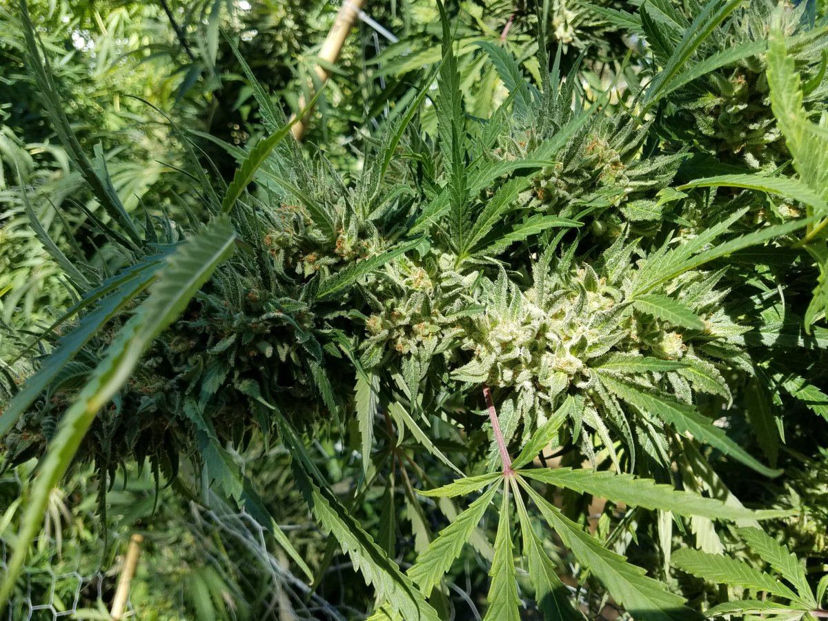 20181012 123735