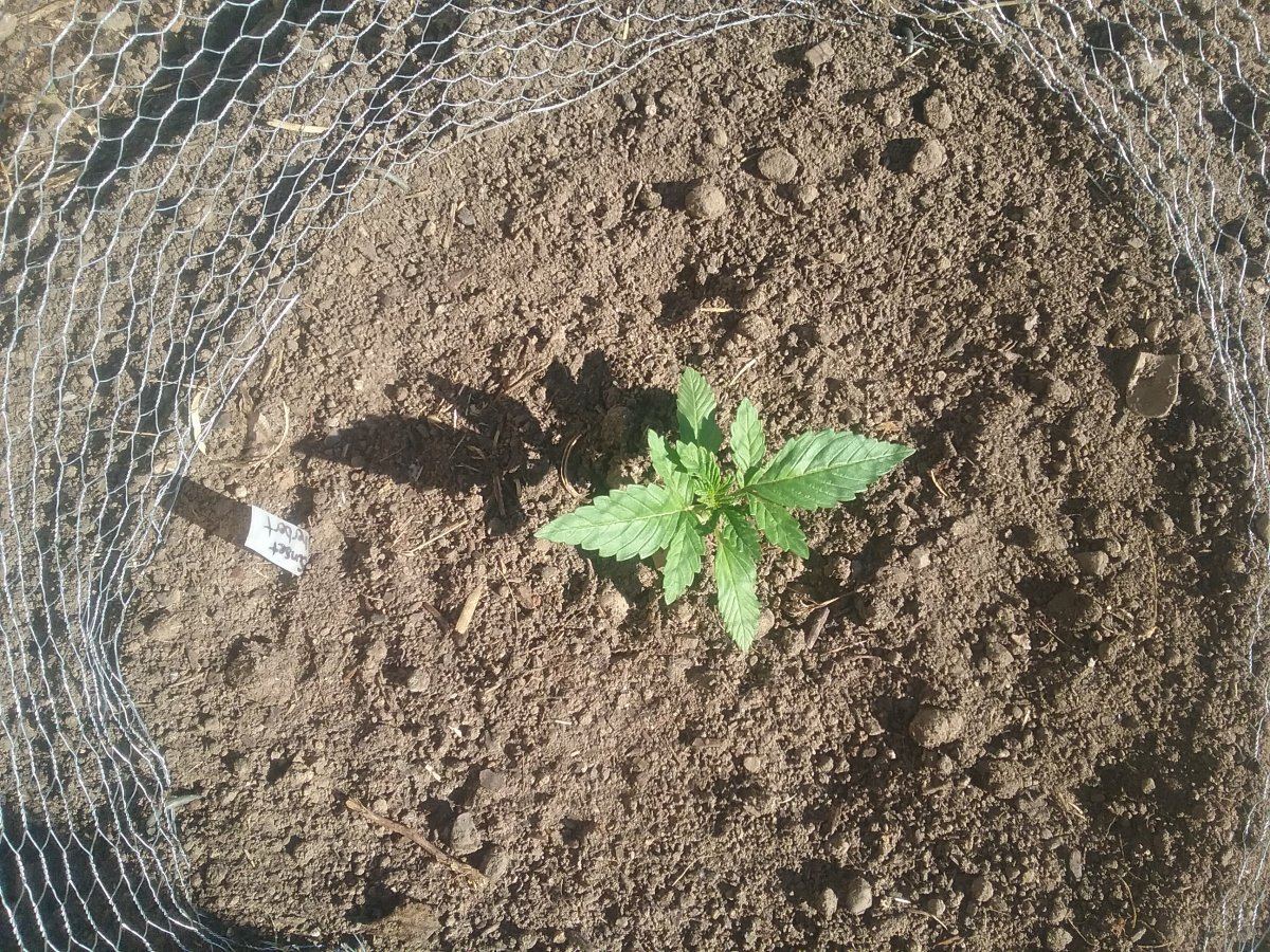 20181012 163205