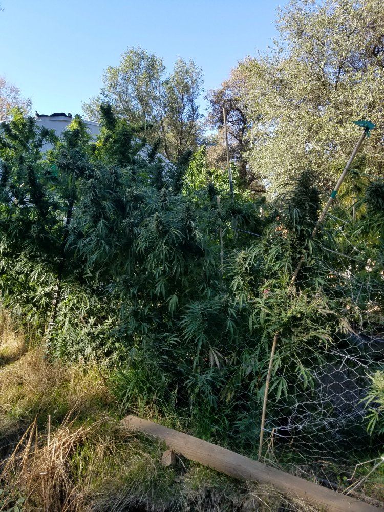 20181013 155938