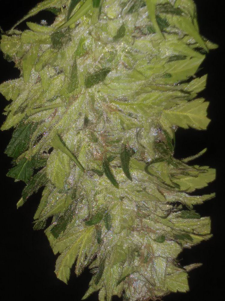 20181013 174230