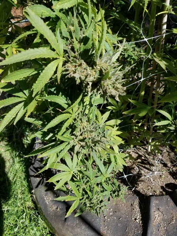 20181014 111104