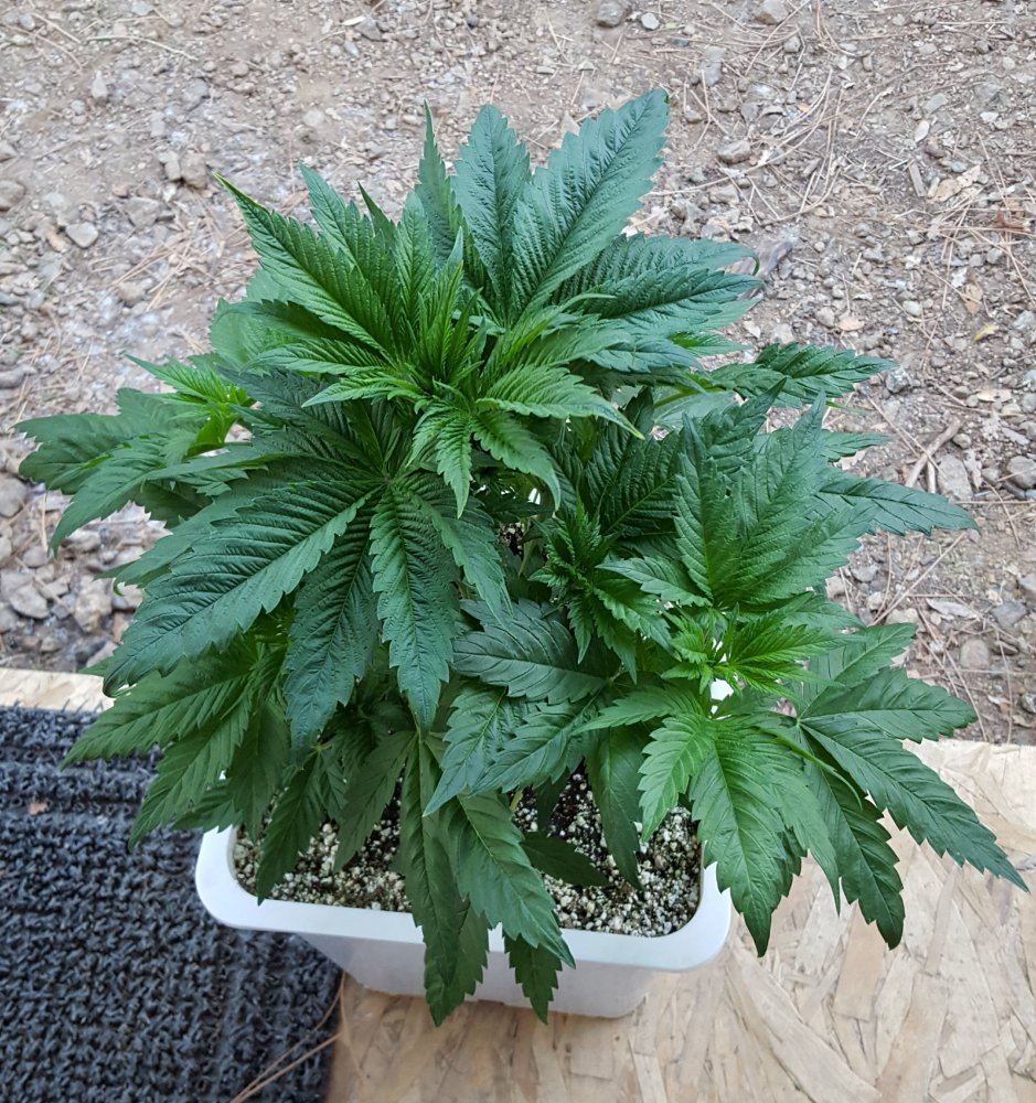 20181015 082251