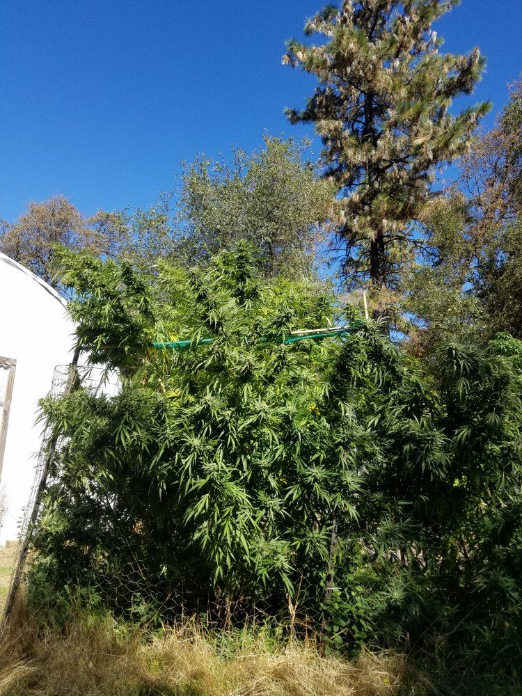 20181015 122733