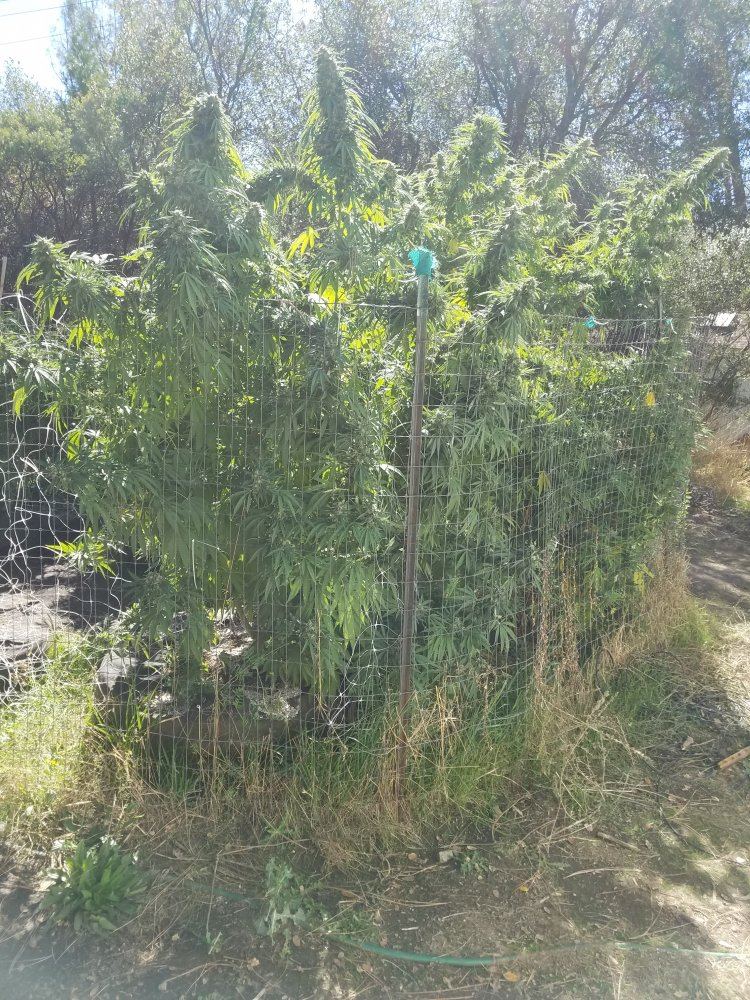 20181015 123049