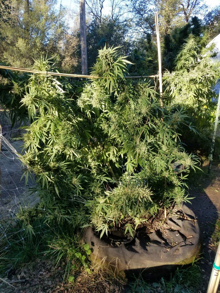 20181016 084147