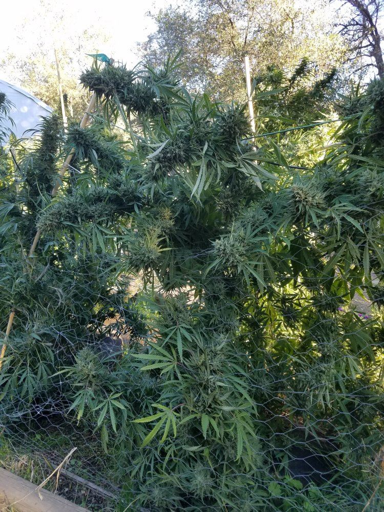 20181016 084505