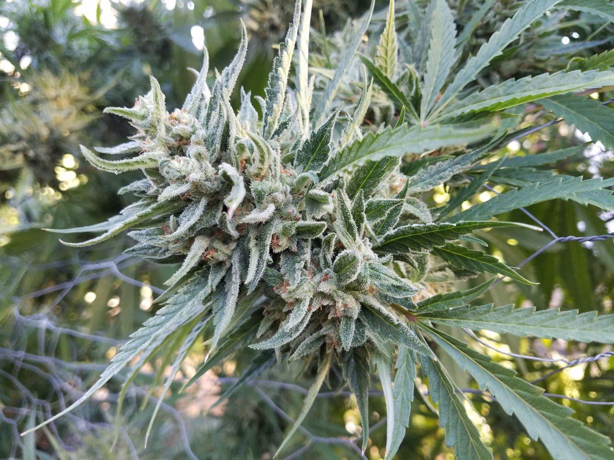 20181016 084516