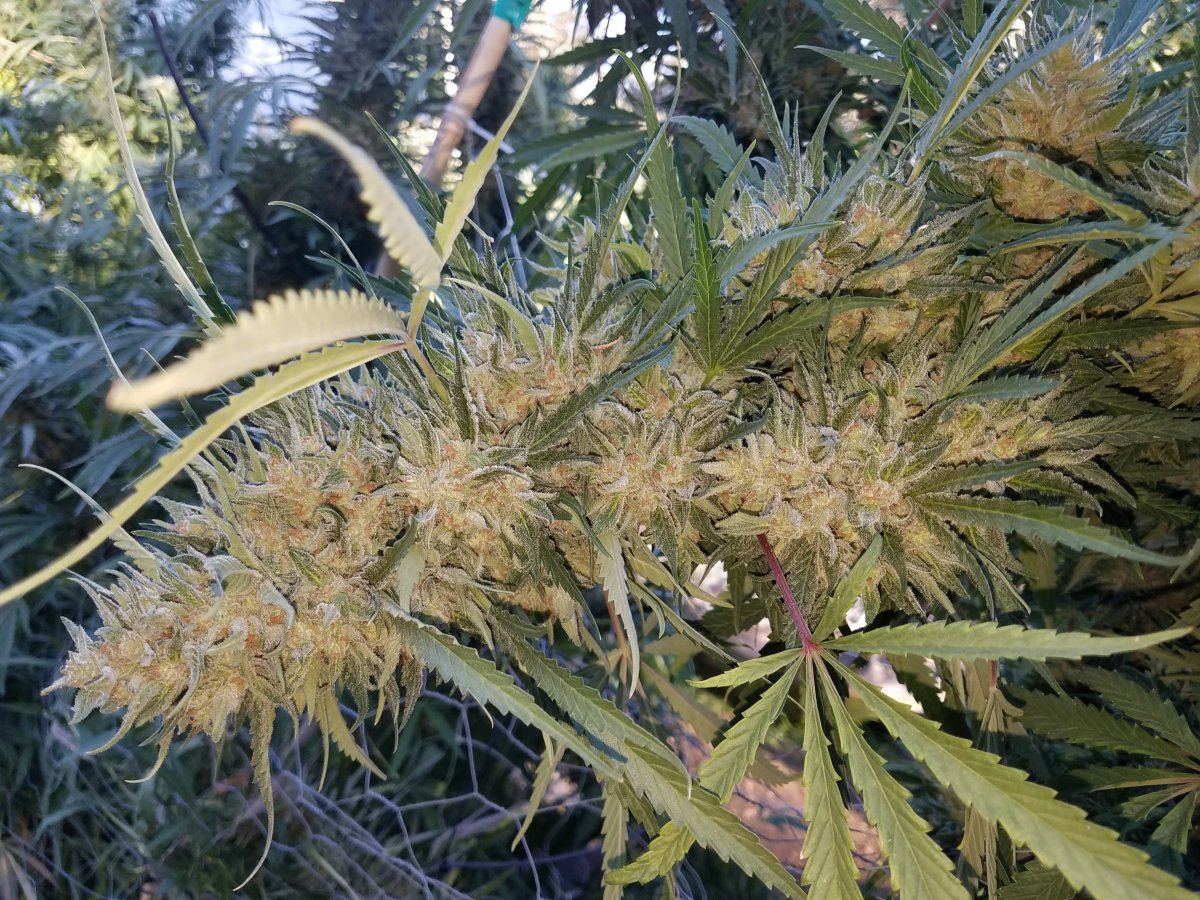 20181016 084606