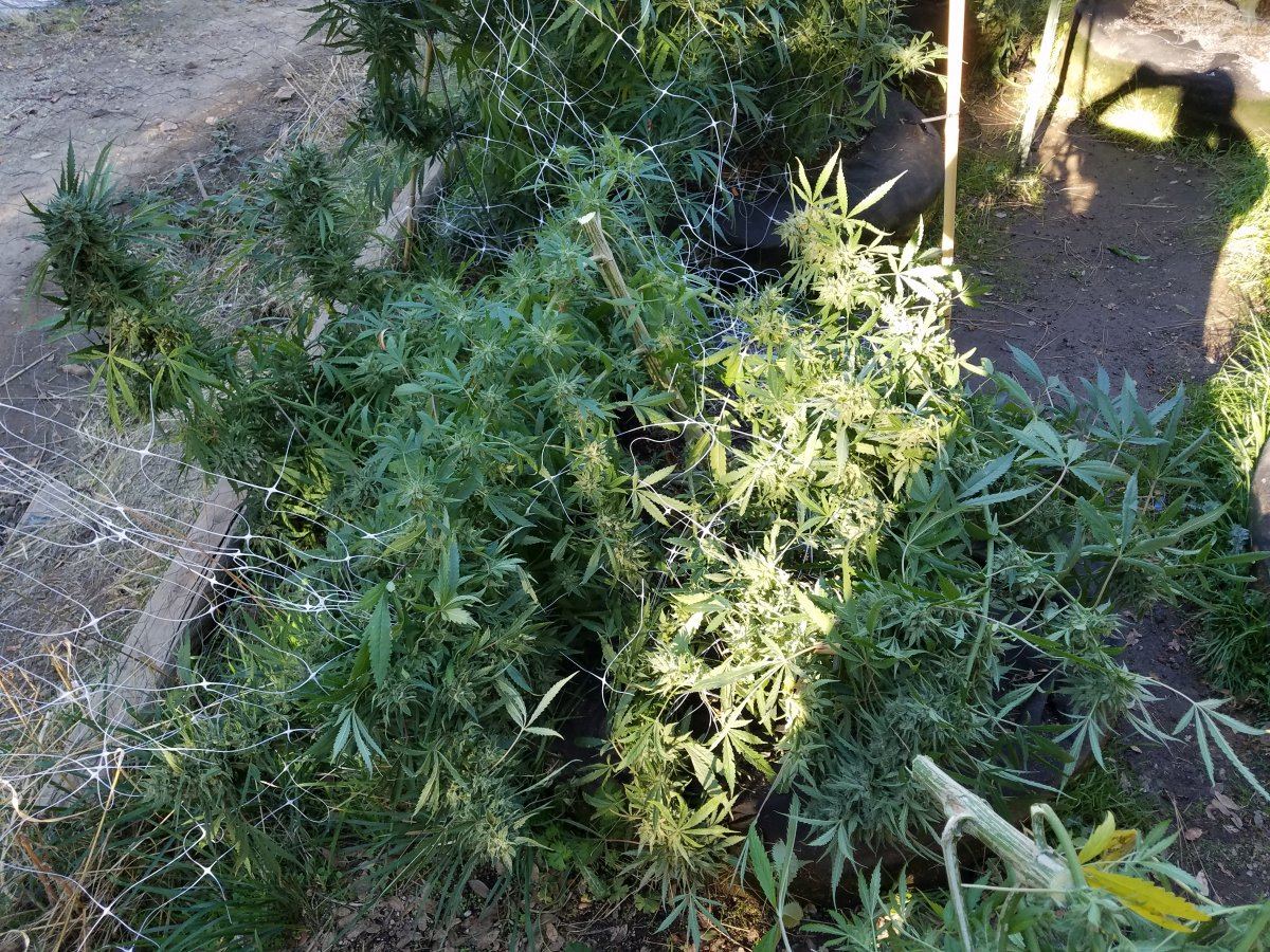 20181016 090519