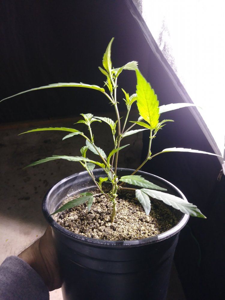 20181016 124637