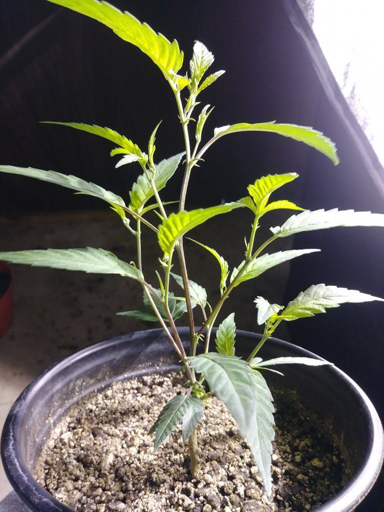 20181016 124729