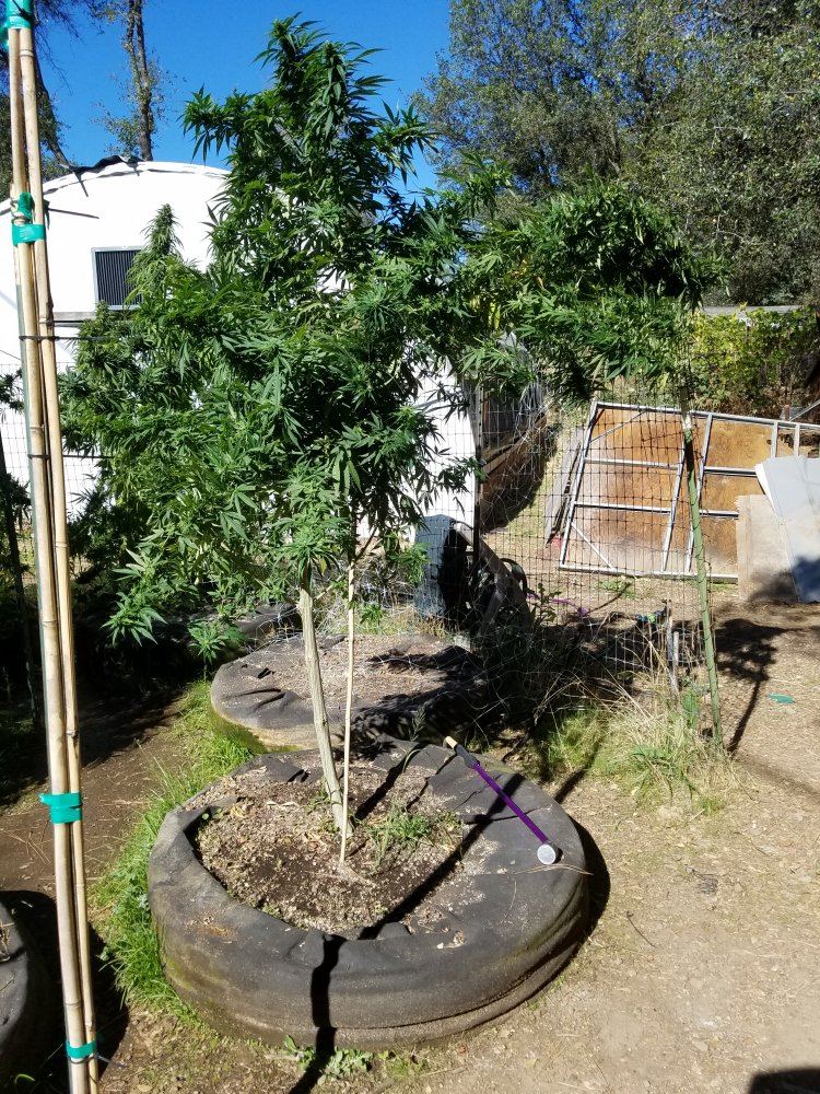 20181017 115010