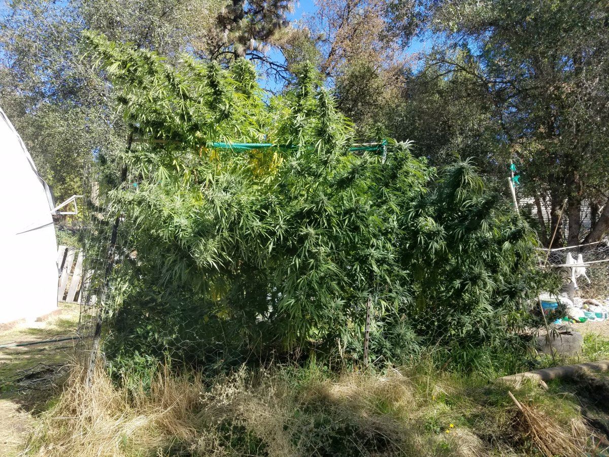 20181017 115204