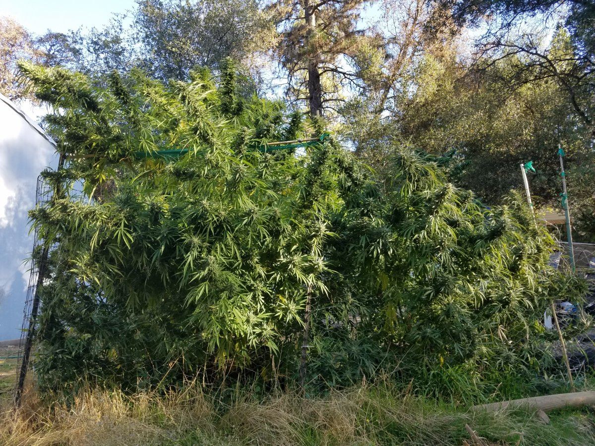 20181018 093912