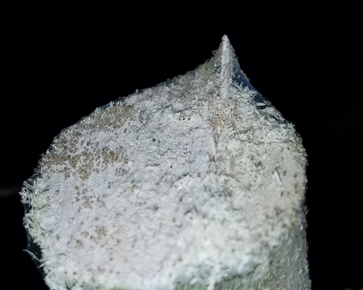 20181019 110815