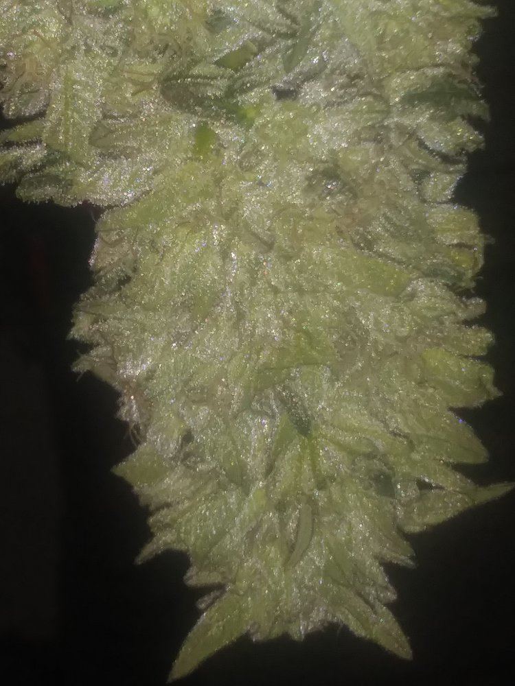 20181021 001313