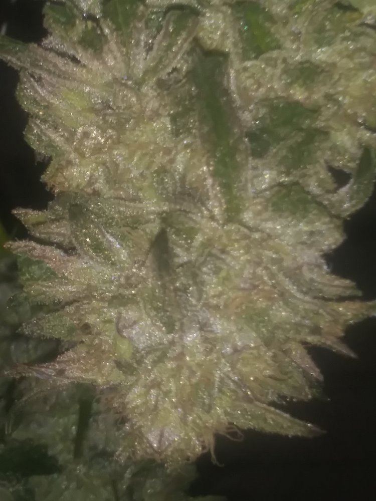 20181021 001330