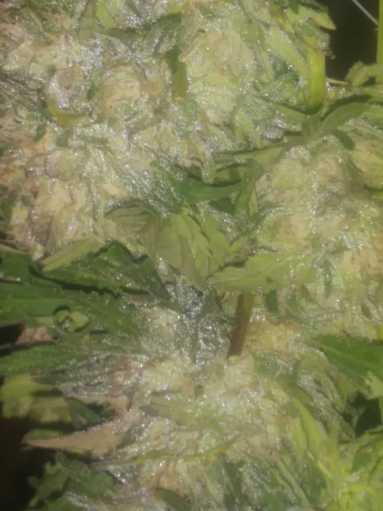 20181021 001425