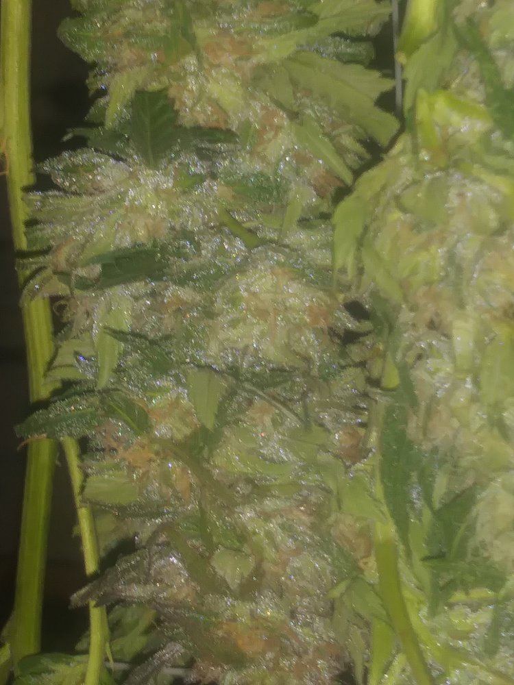 20181021 001440