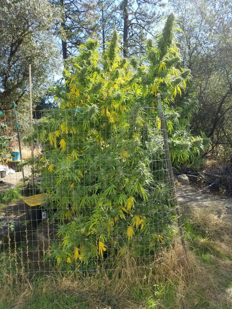 20181021 124312