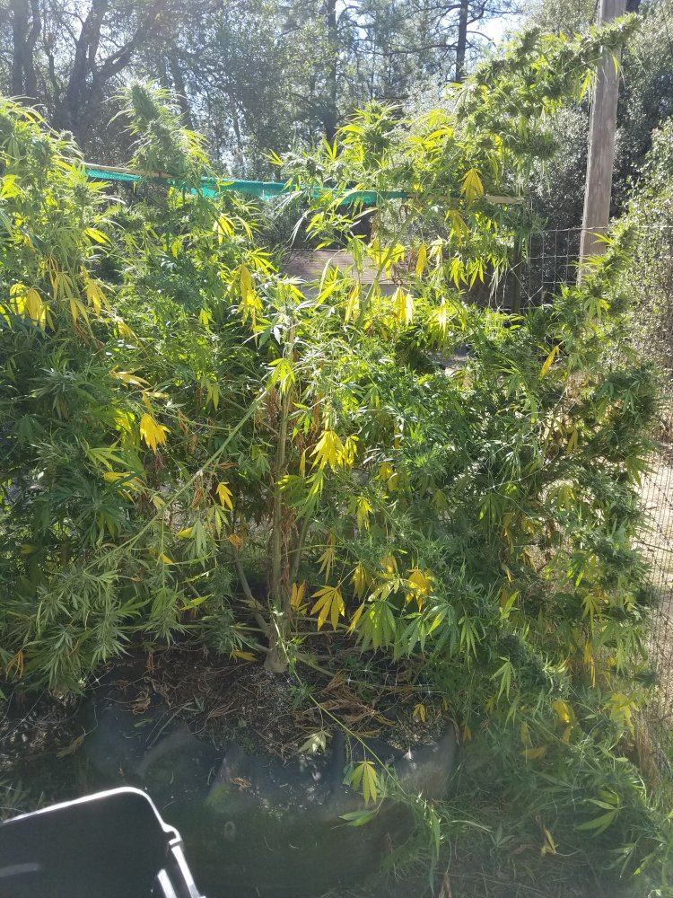 20181021 131412