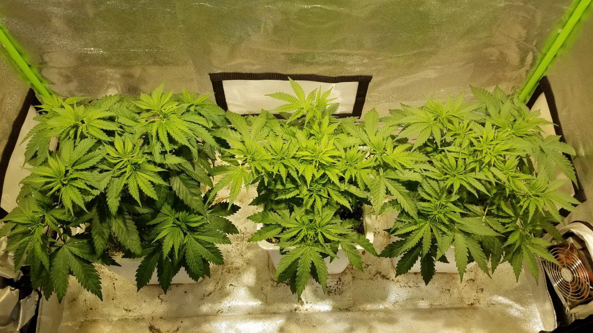 20181023 164526