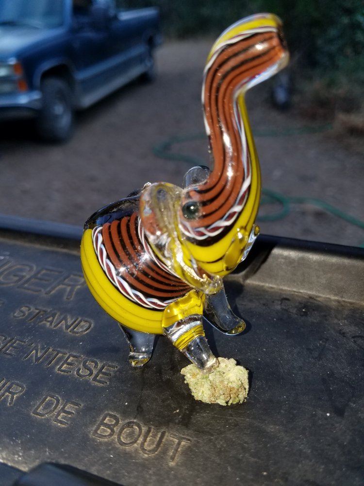20181026 081851
