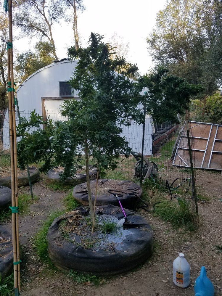 20181031 081551