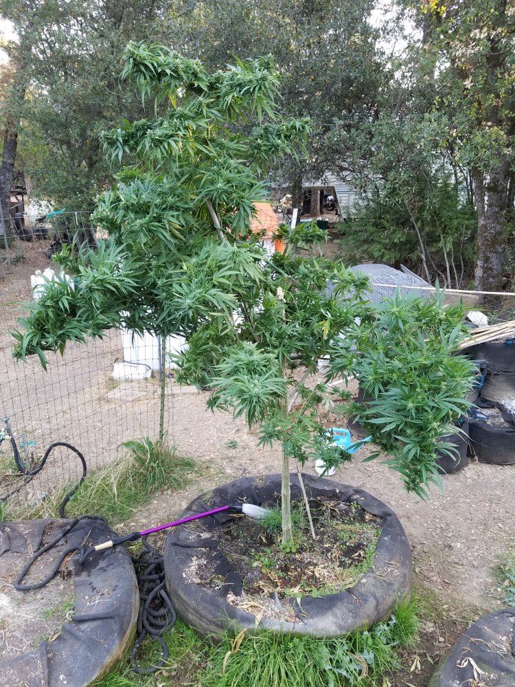 20181031 081620