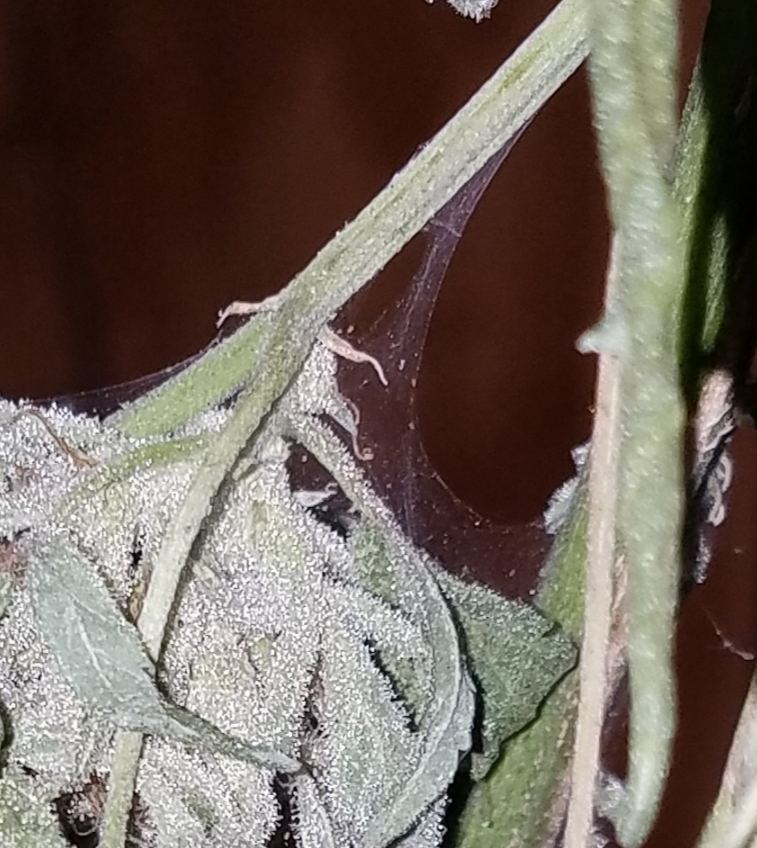 20181101 022335
