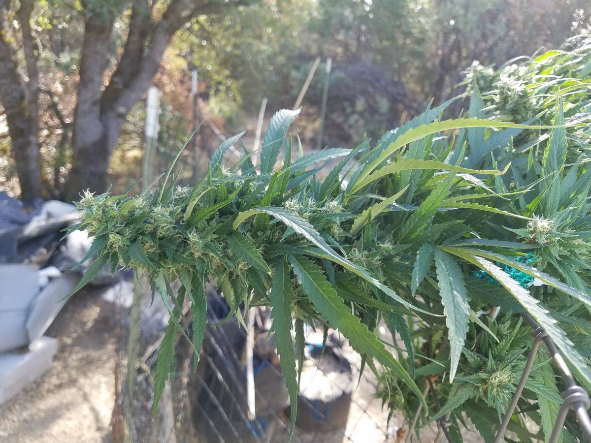 20181101 104518