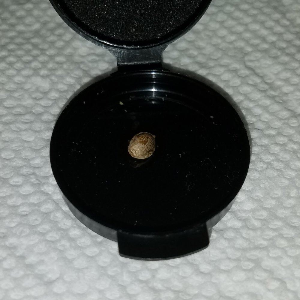 20181106 182153