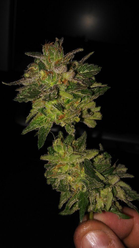 20181119 181022