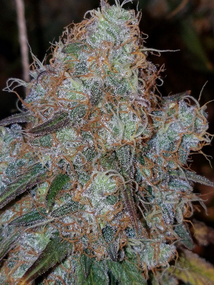 20181215 090948