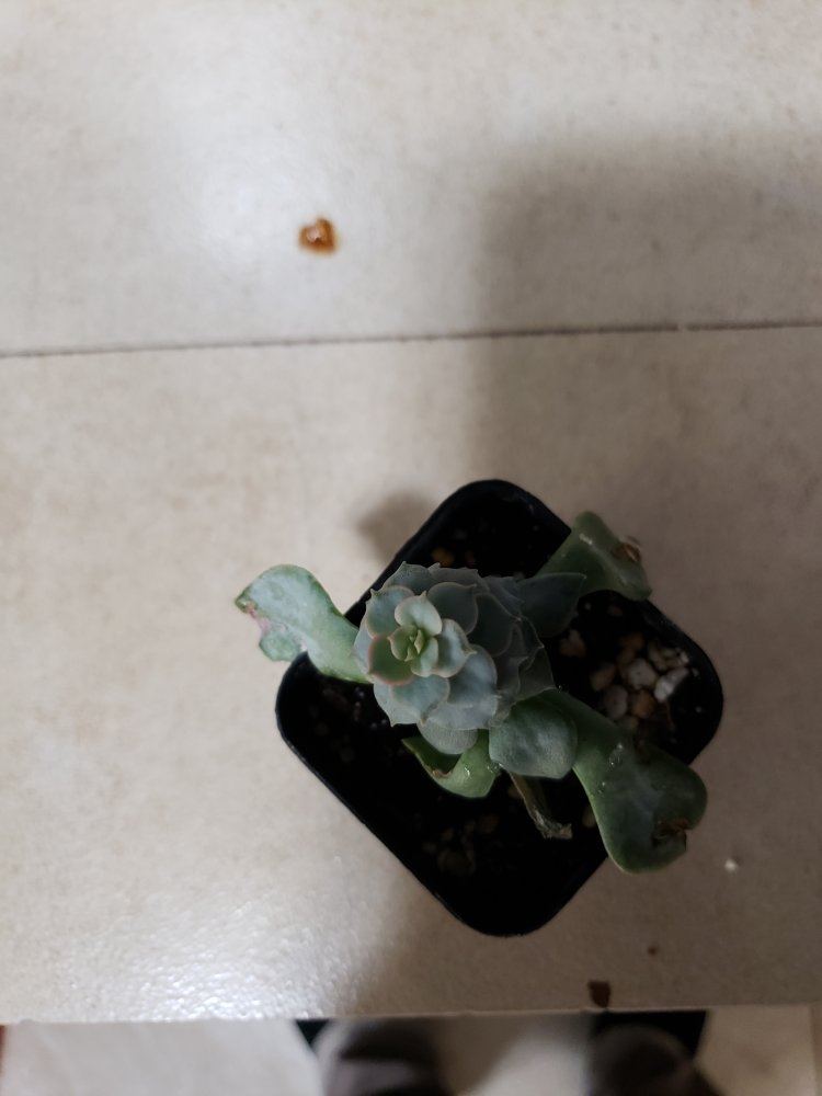 20190101 152733