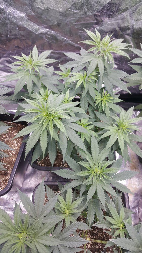 20190212 173335