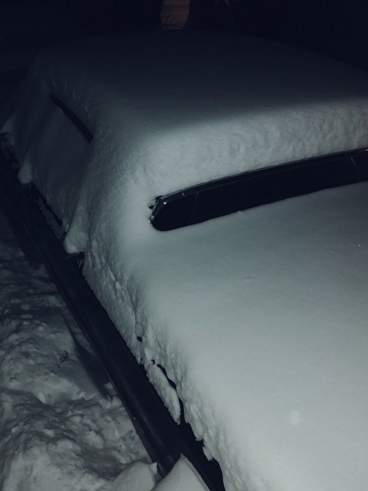 20190216 201337
