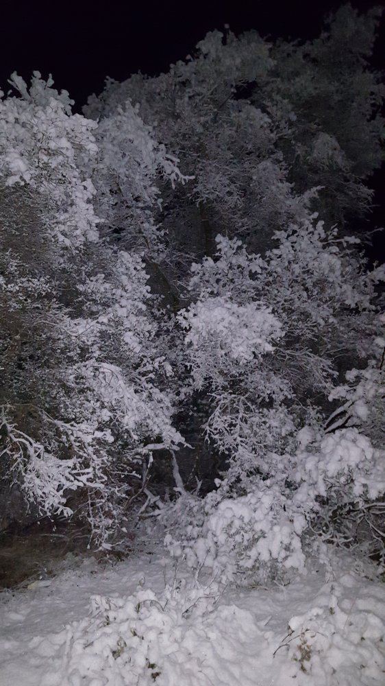 20190221 045244