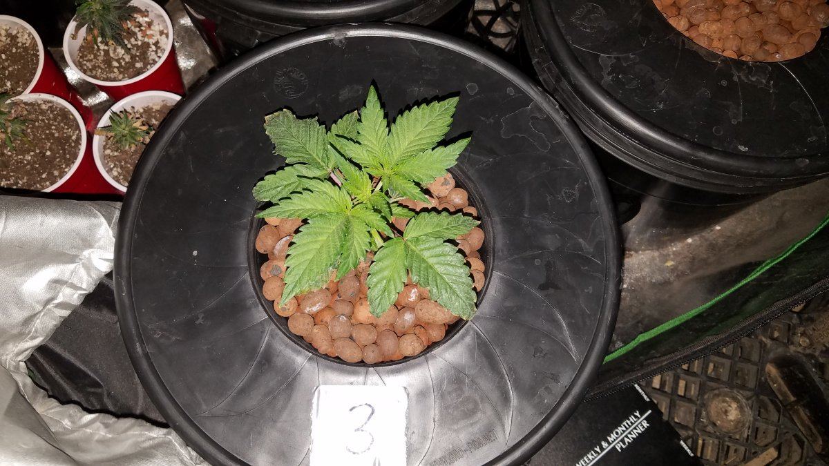 20190223 091511