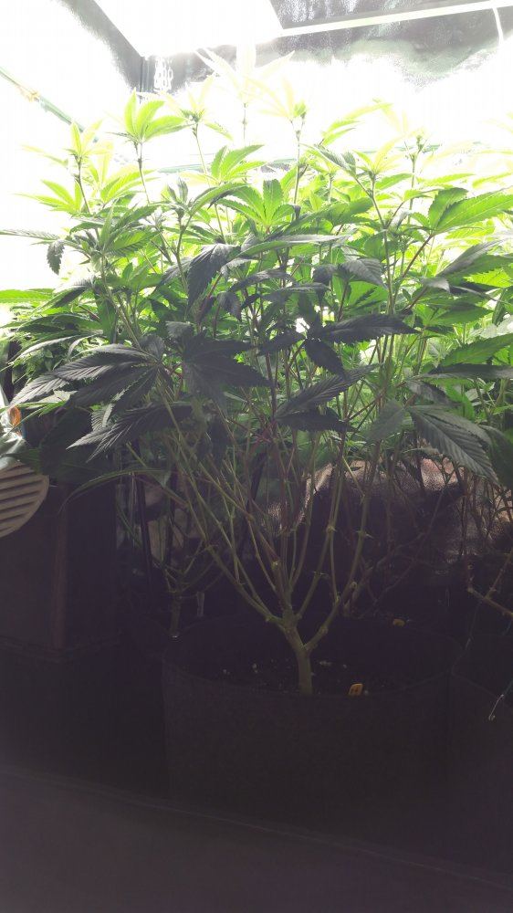 20190226 130747