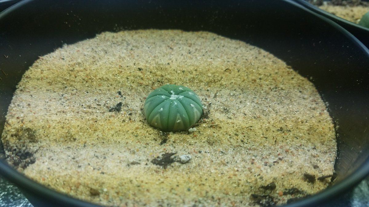 20190304 115449