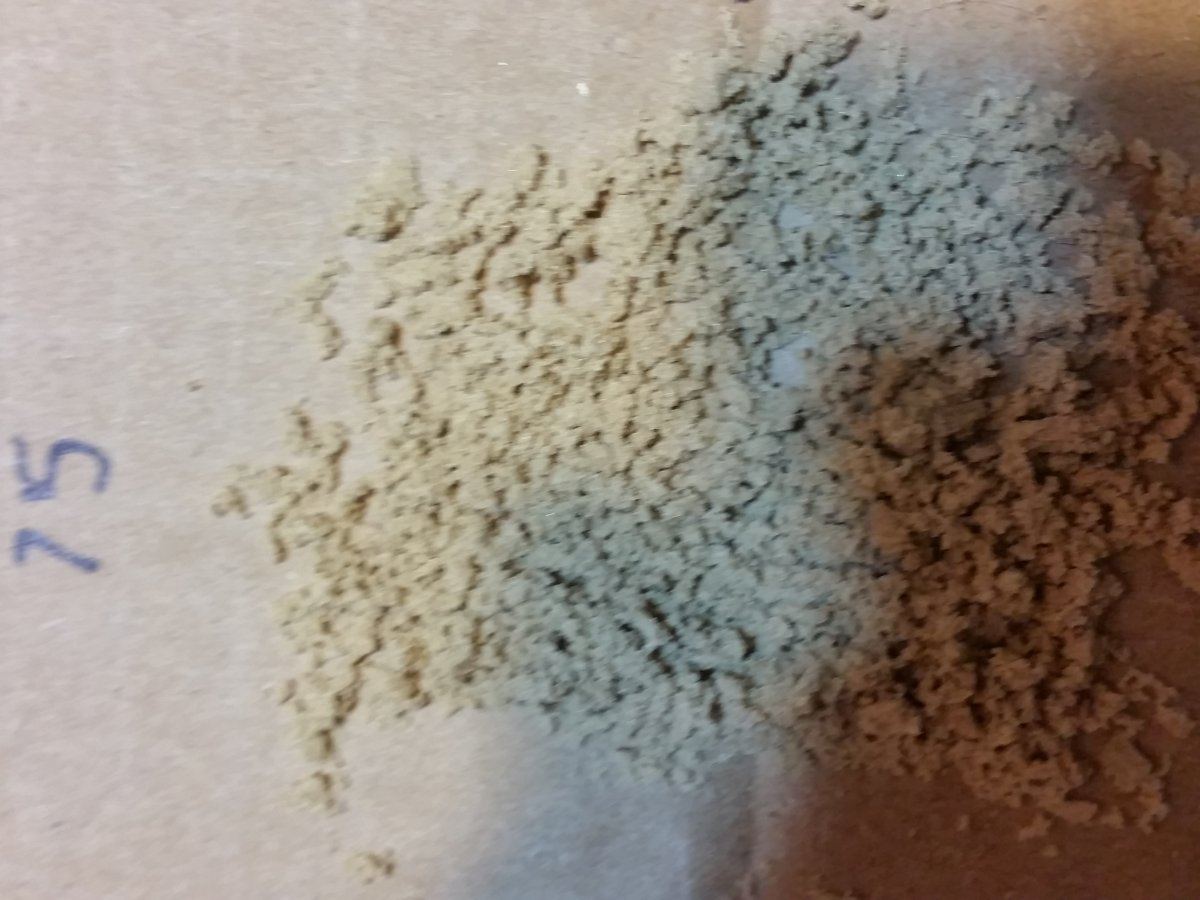 20190305 164618