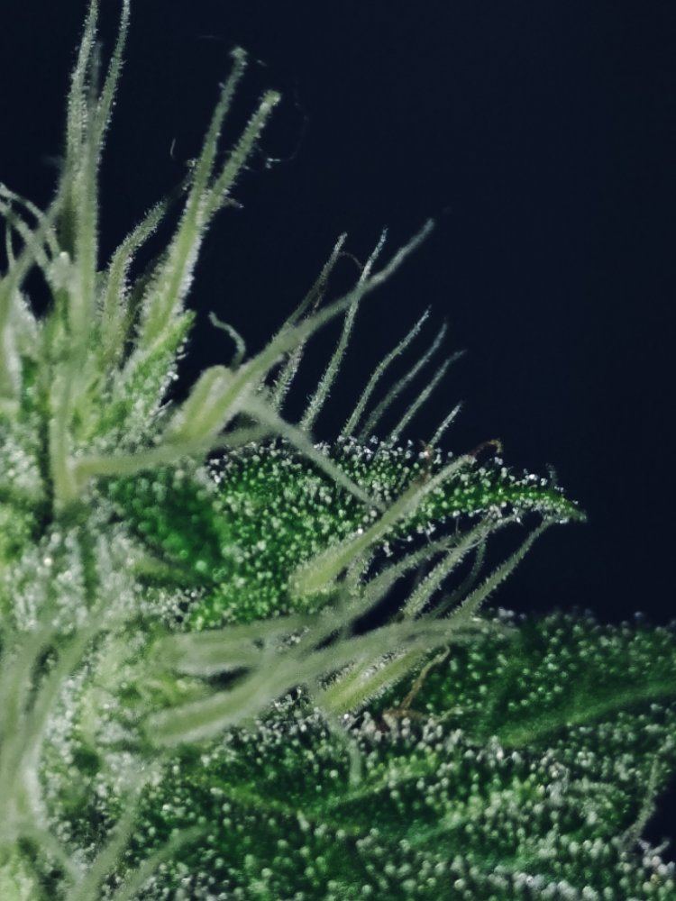 20190310 221622
