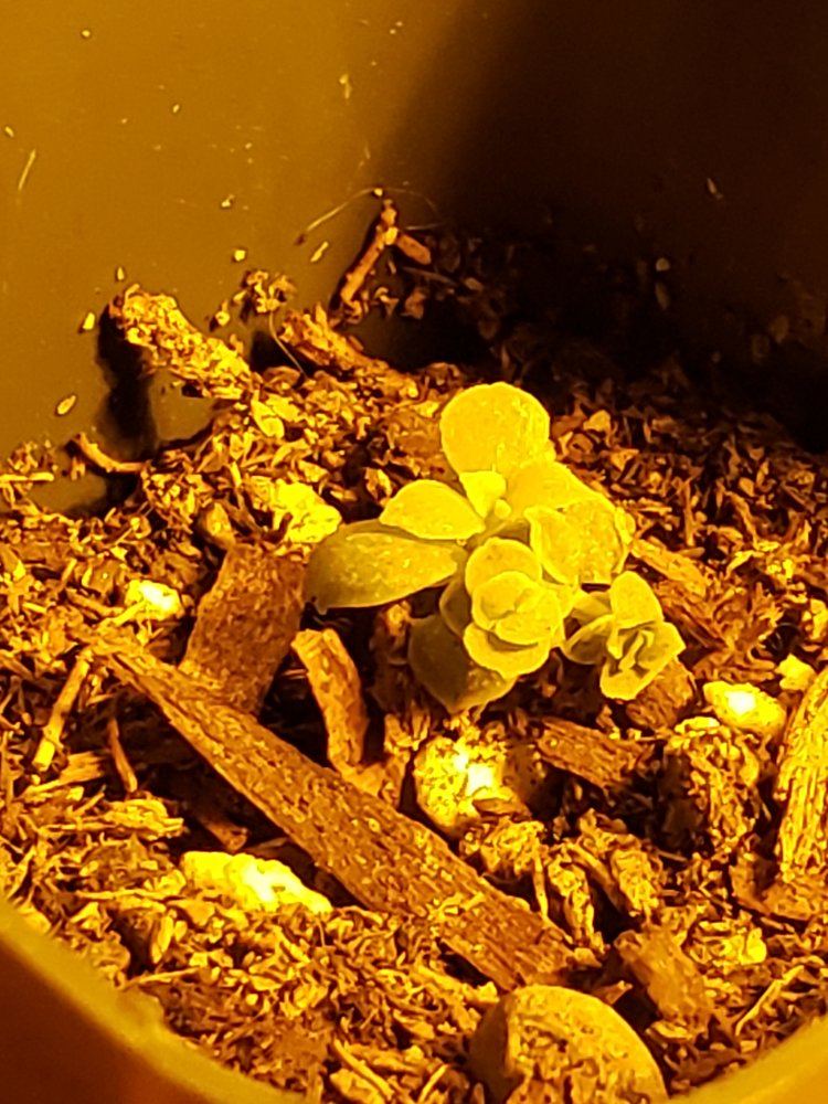 20190314 065704
