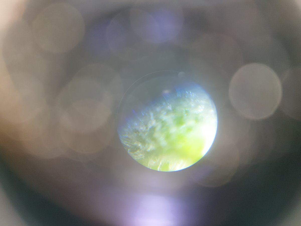 20190318 133237