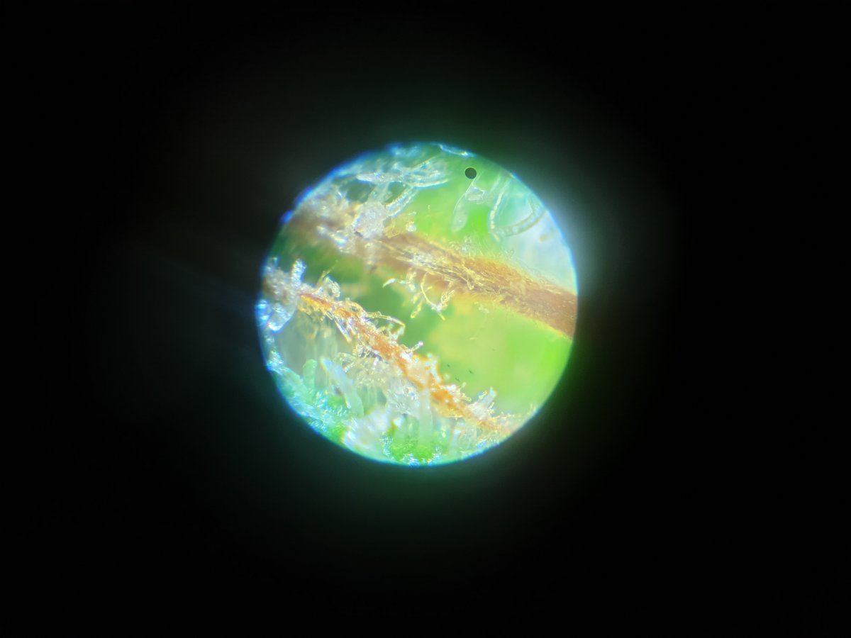 20190318 133251