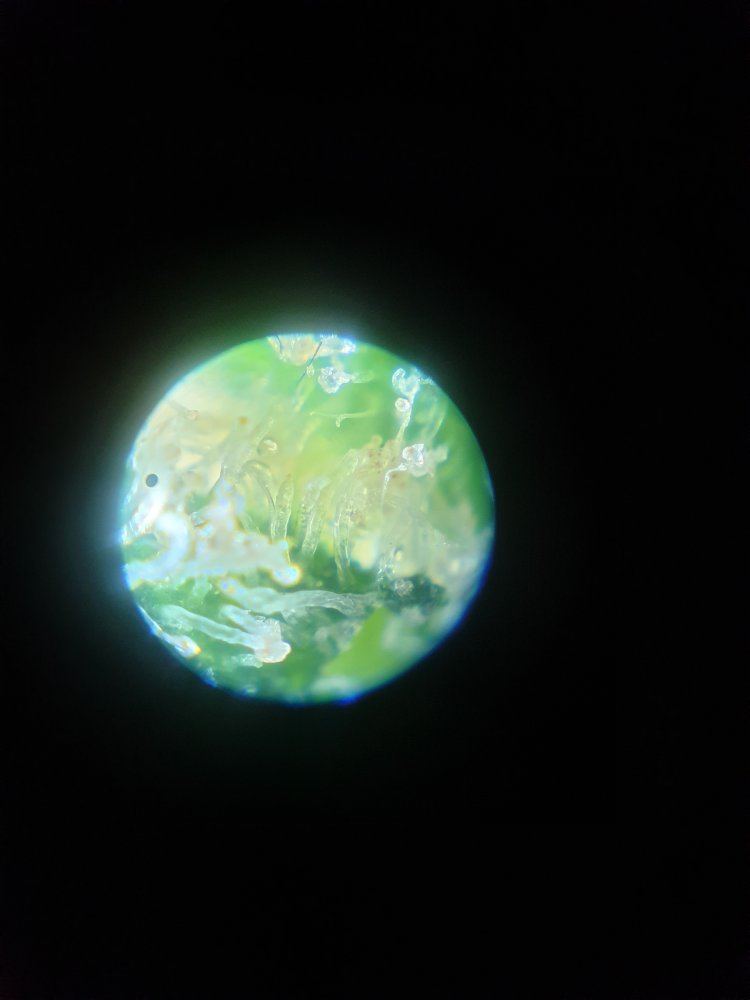 20190318 133634