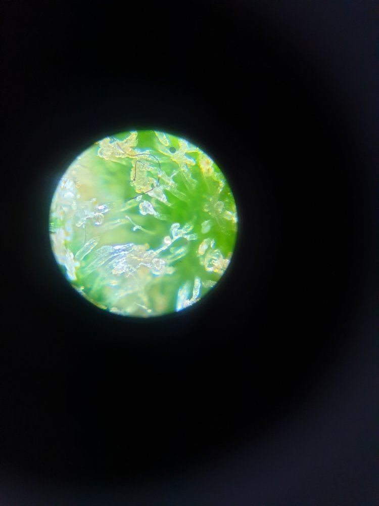 20190318 133742