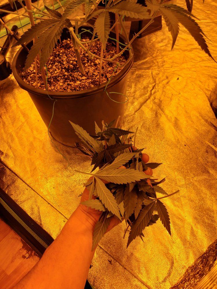 20190322 124254